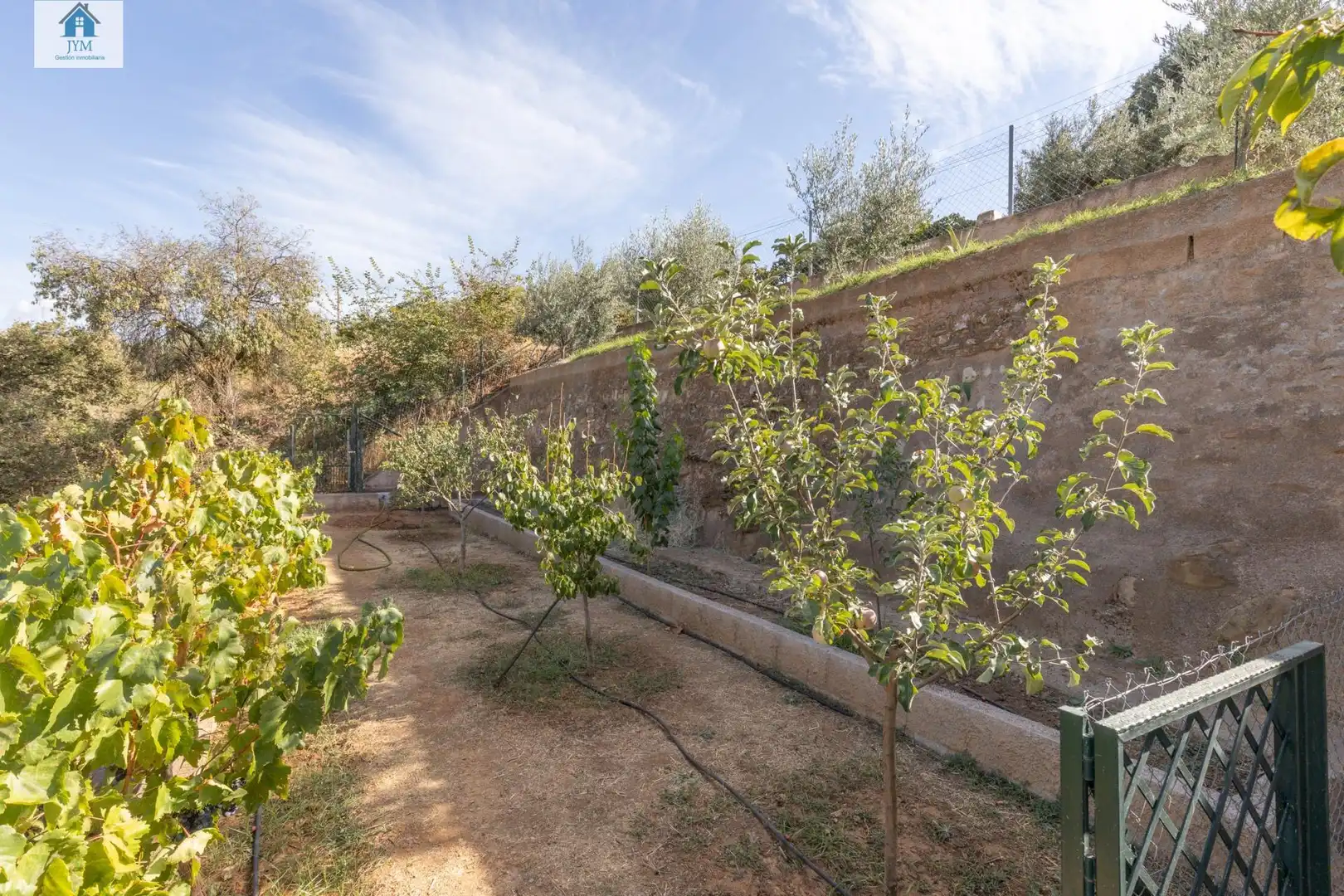 Jardín de Casa o chalet en venta en Dílar con Aire acondicionado, Calefacción y Jardín privado