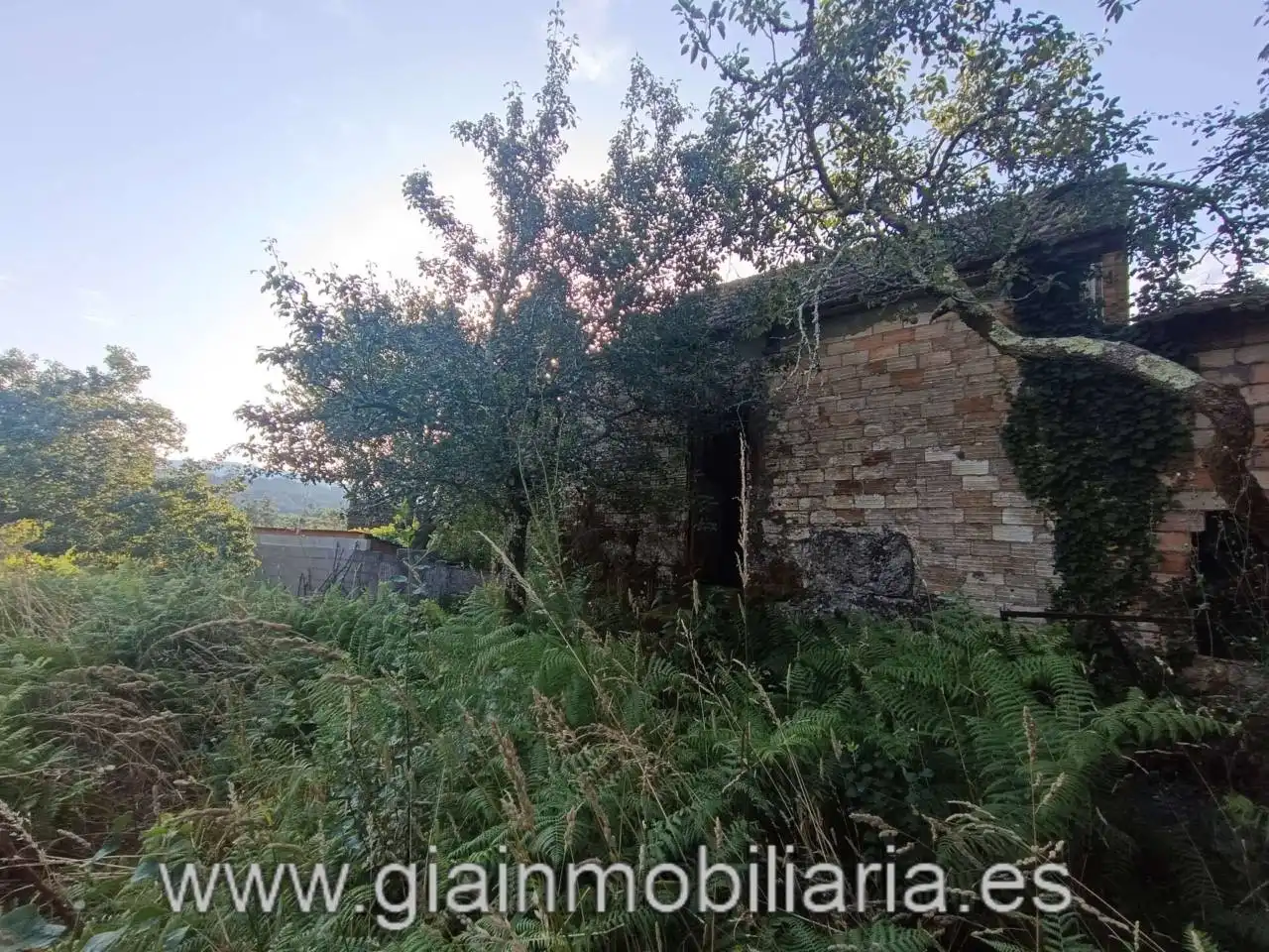 Casa en venta en Calle Ceo, imagen 19