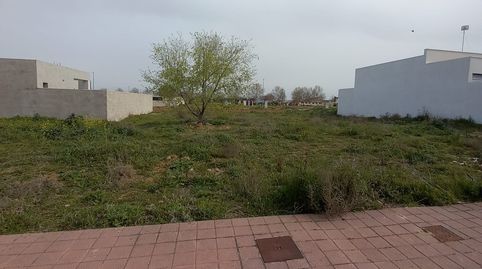 OPORTUNIDAD DE 2 PARCELAS JUNTAS, immagine 3