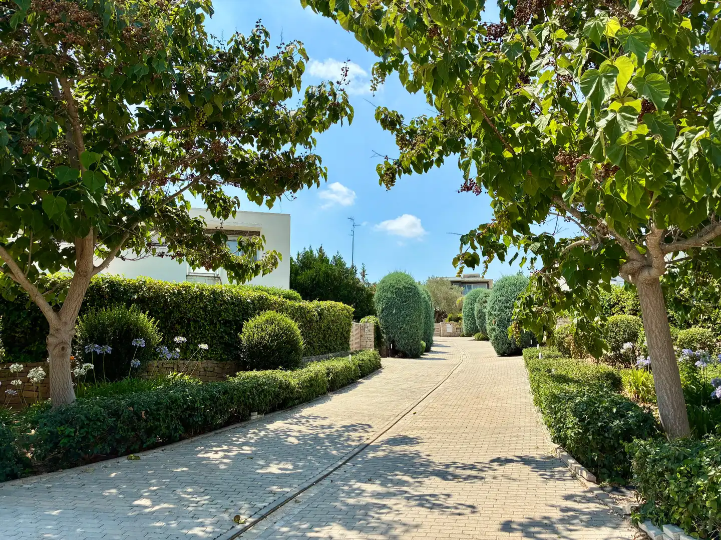 Casa pareada con terraza en venta en Calle Las Viñas, imagen 56