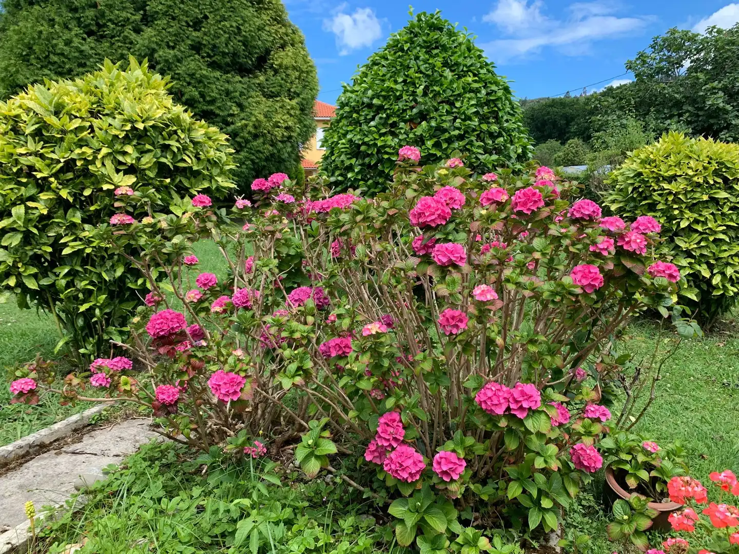 Jardí de Casa o xalet en venda en Ferrol amb Calefacció, Jardí privat i Traster