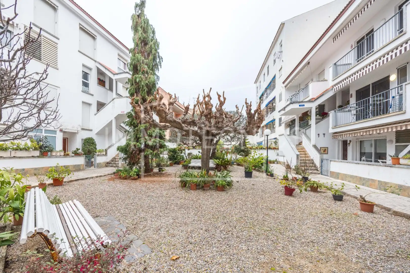 Vista exterior de Dúplex en venda en Caldes d'Estrac amb Aire condicionat, Calefacció i Jardí privat