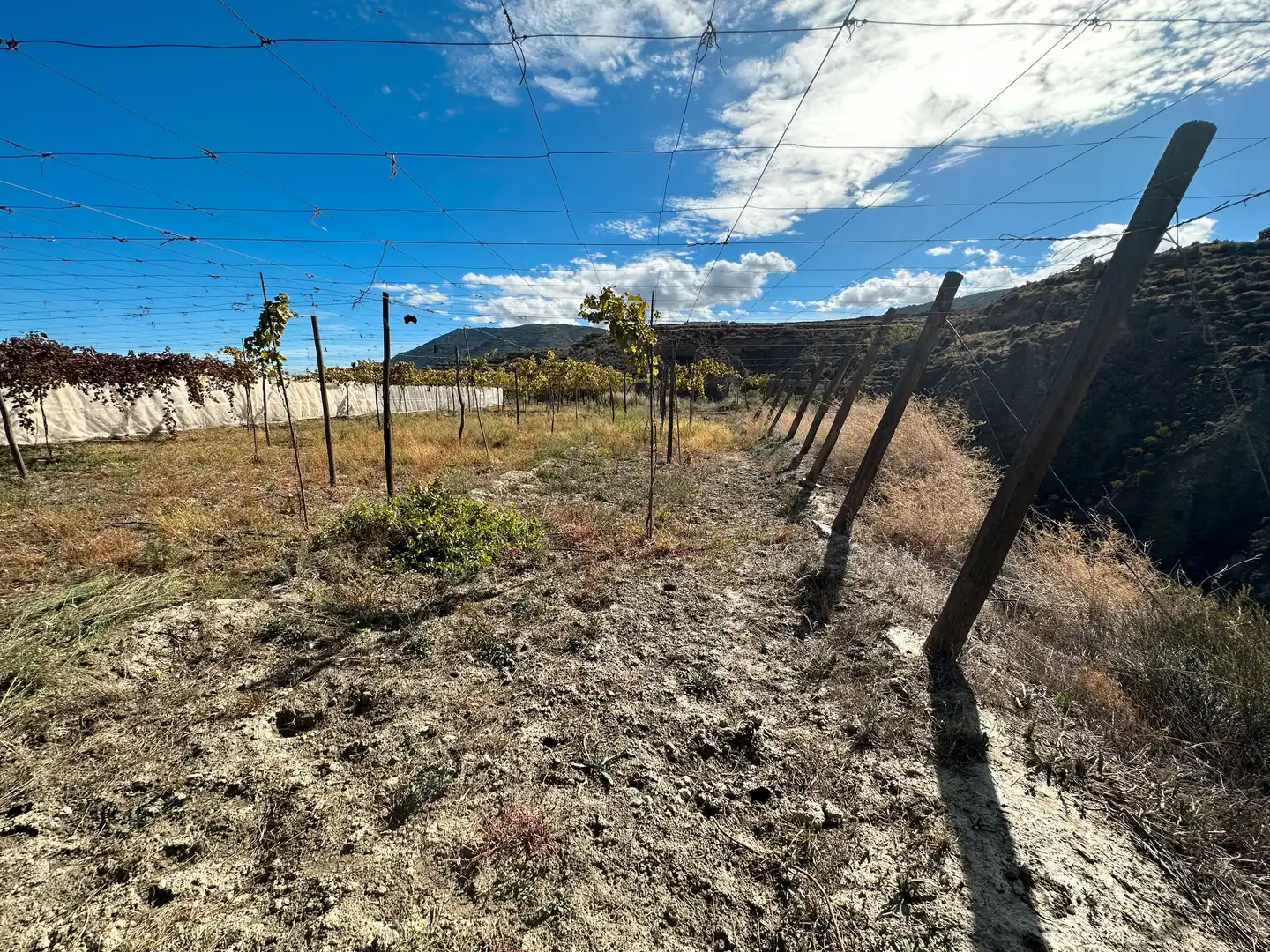 Finca rústica en venda en Canjáyar amb Jardí privat, Terrassa i Traster