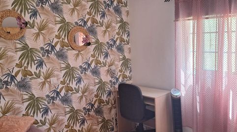 Photo 3 of Flat for rent in Calle Calle Sarmiento de Gamboa, Anaga, Santa Cruz de Tenerife Capital