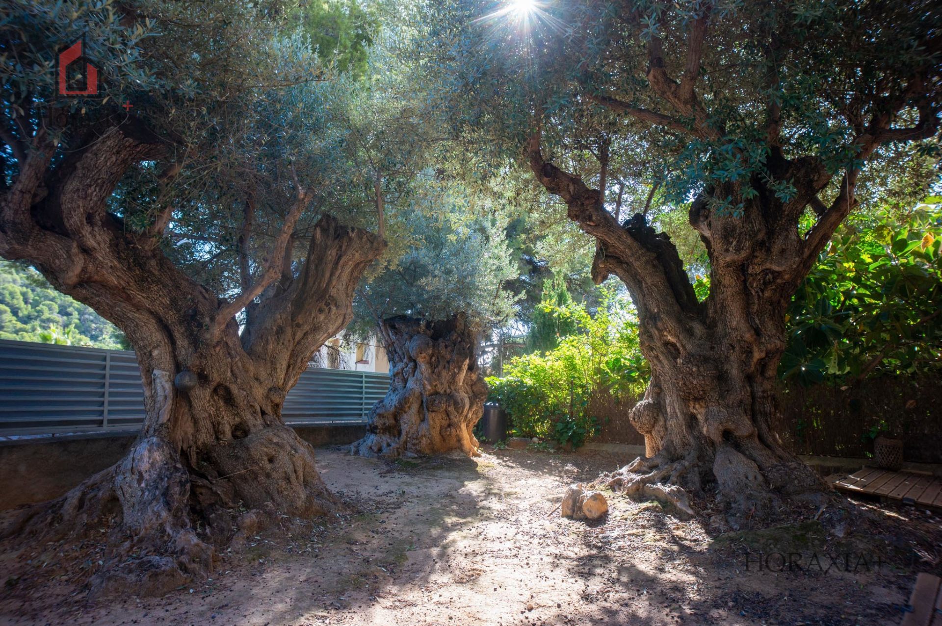Garden of Single-family semi-detached to rent in Sitges  with Air Conditioner, Heating and Private garden