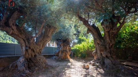 Foto 4 de Casa adosada de lloguer a Carrer Maria Cristina Güell, 3, Les Botigues de Sitges, Barcelona