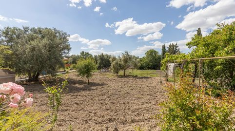 Foto 4 de Finca rústica en venta en Polígono 7 Paraje 147 la Quinta, Ayuntamiento, Alhendín