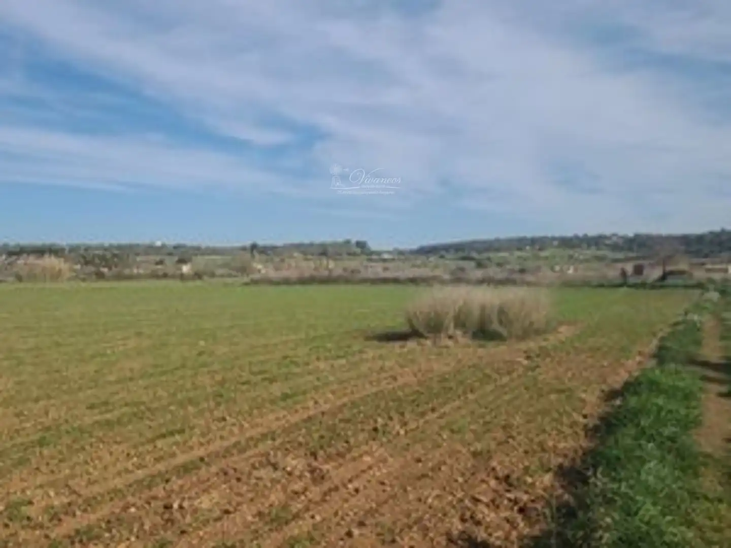 Rural land for sale in calle de costa y llobera 2