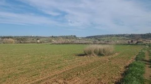 Se vende terreno en Algaida, Mallorca