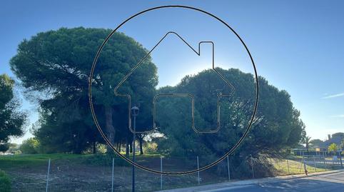 Foto 4 von Residential zum verkauf in Pino, Dehesa - Monacilla, Huelva