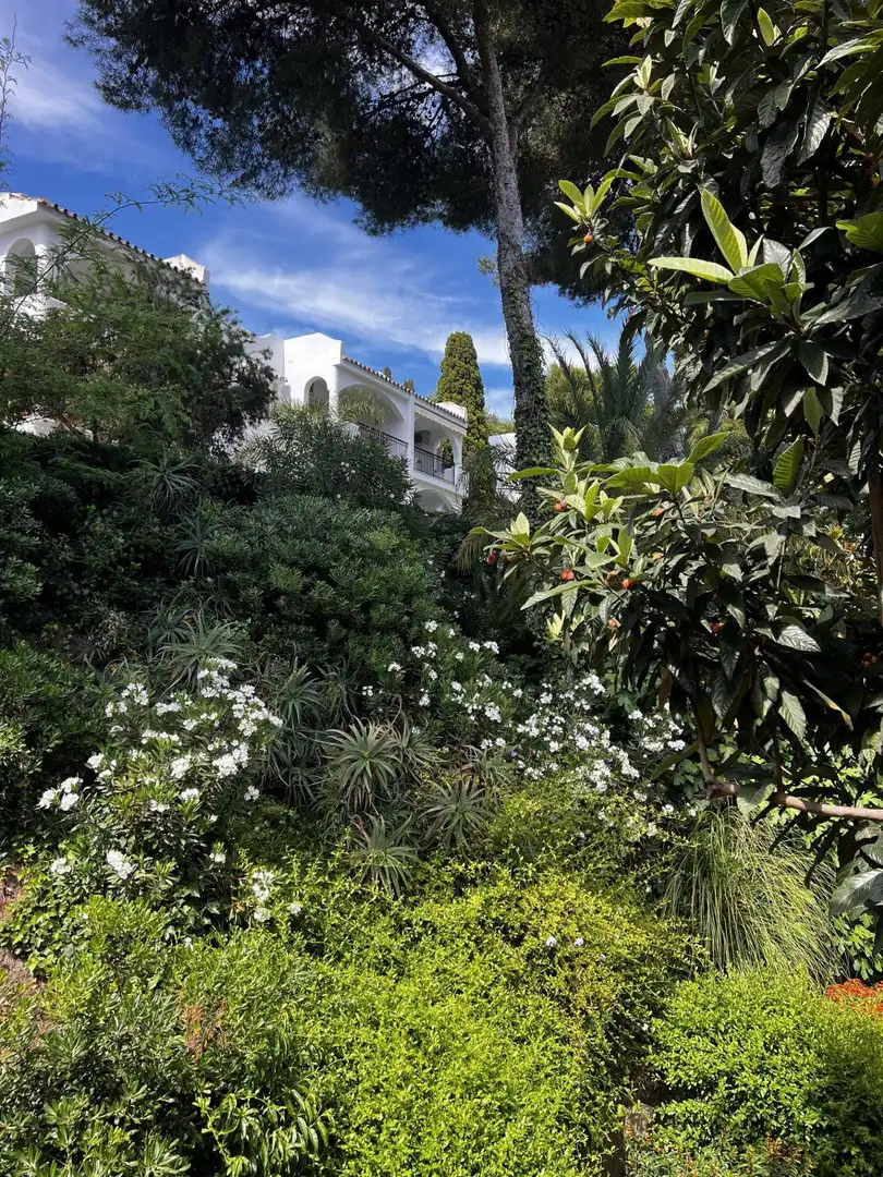 Estudi en venda a Riviera del Sol