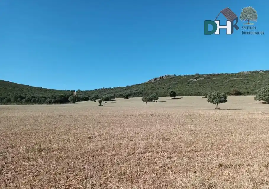 Ciudad RealTerreno, imatge 3