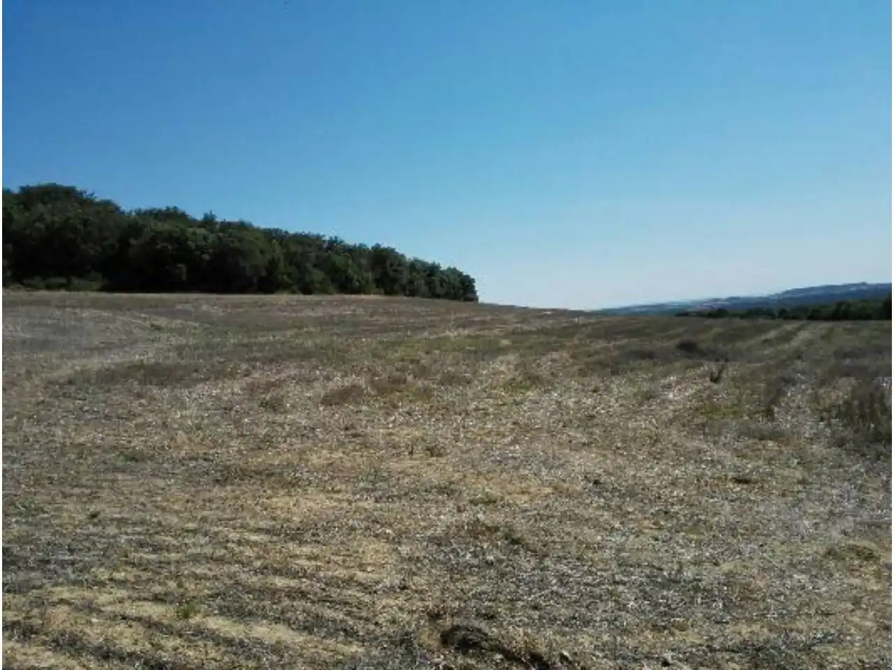 Terreno en venta en Lascellas-Ponzano
