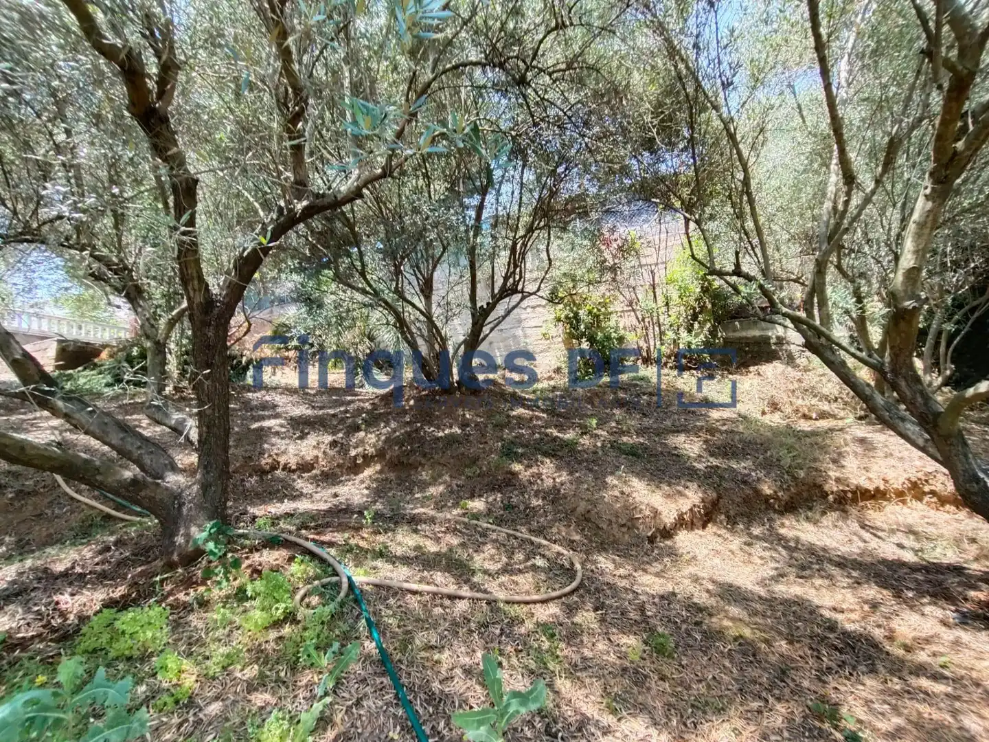 Terrenos y solares en venta en Riudarenes, imagen 12