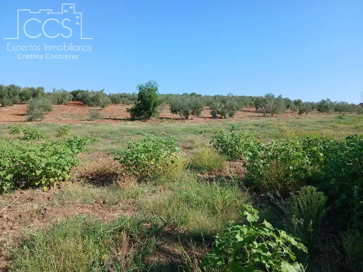 Terrain rustique à vendre à Almonte ciudad, imagen 12