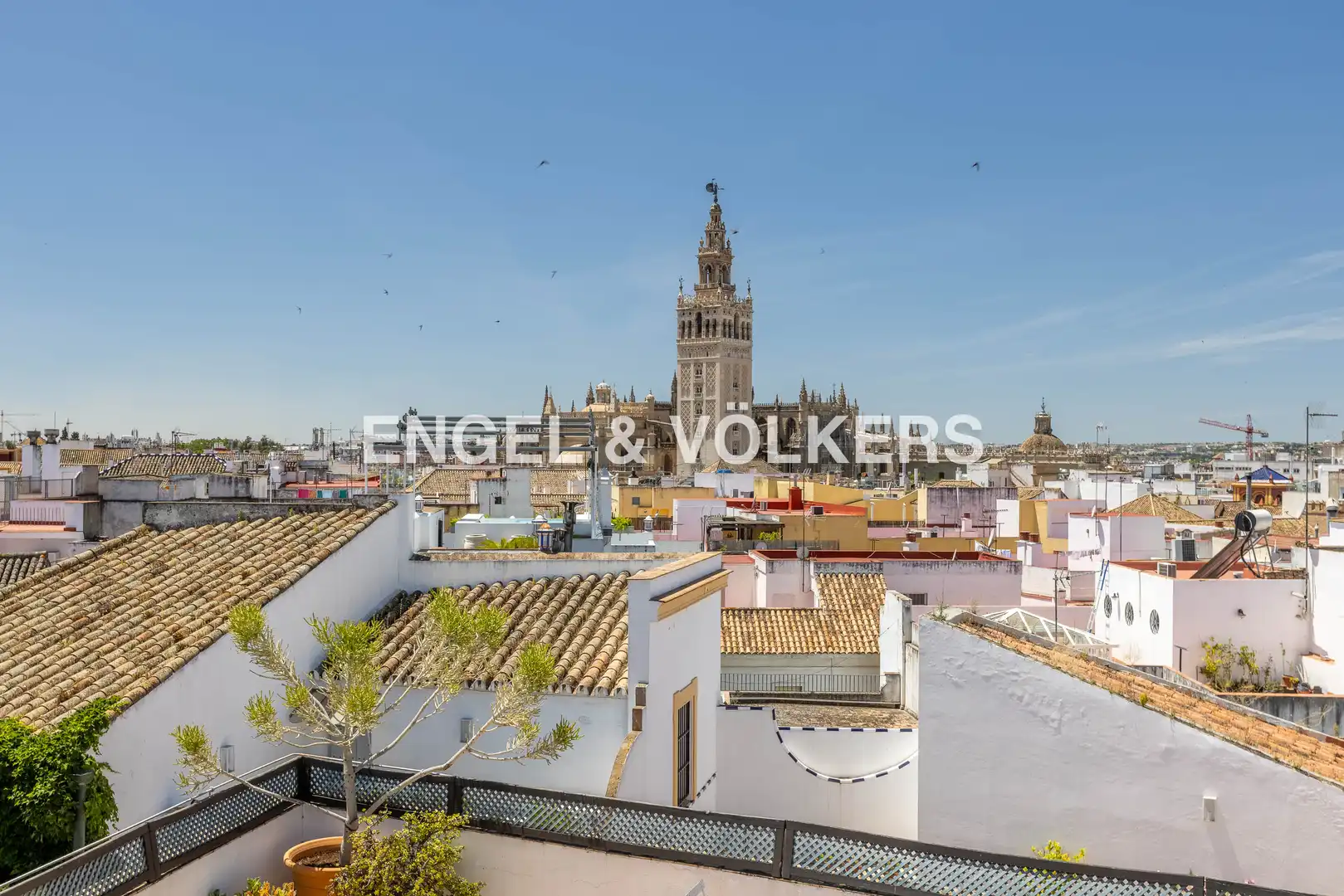 Exterior view of Apartments for sale in Sevilla  with Heating and Balcony