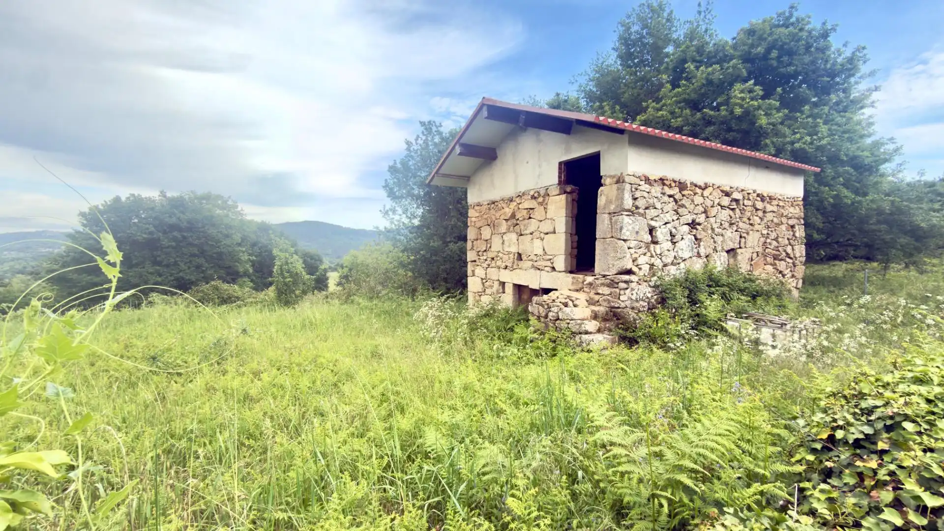 Casa o chalet en venta en Celanova con Jardín privado