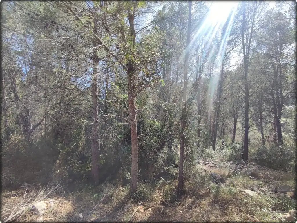 Residential for sale in La Font d'en Carròs