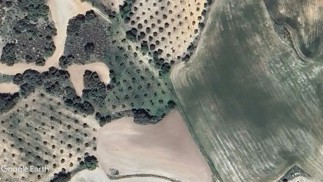 Terreno rustico in vendita a Driebes