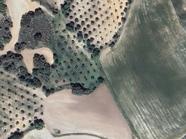 Terreno rustico in vendita a Driebes
