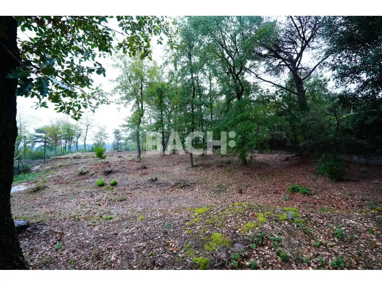 Terreno rustico in vendita a Avenida Goitallops 2, imagen 8