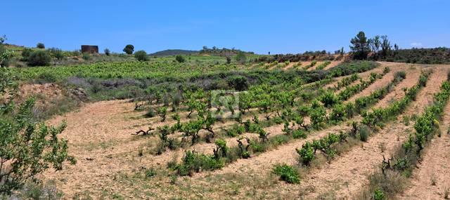 Terreno en Venta en N/A, -1 en Montferri