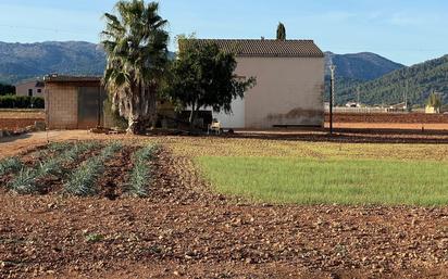 Country house for sale in Sa Pobla  with Private garden and Swimming Pool