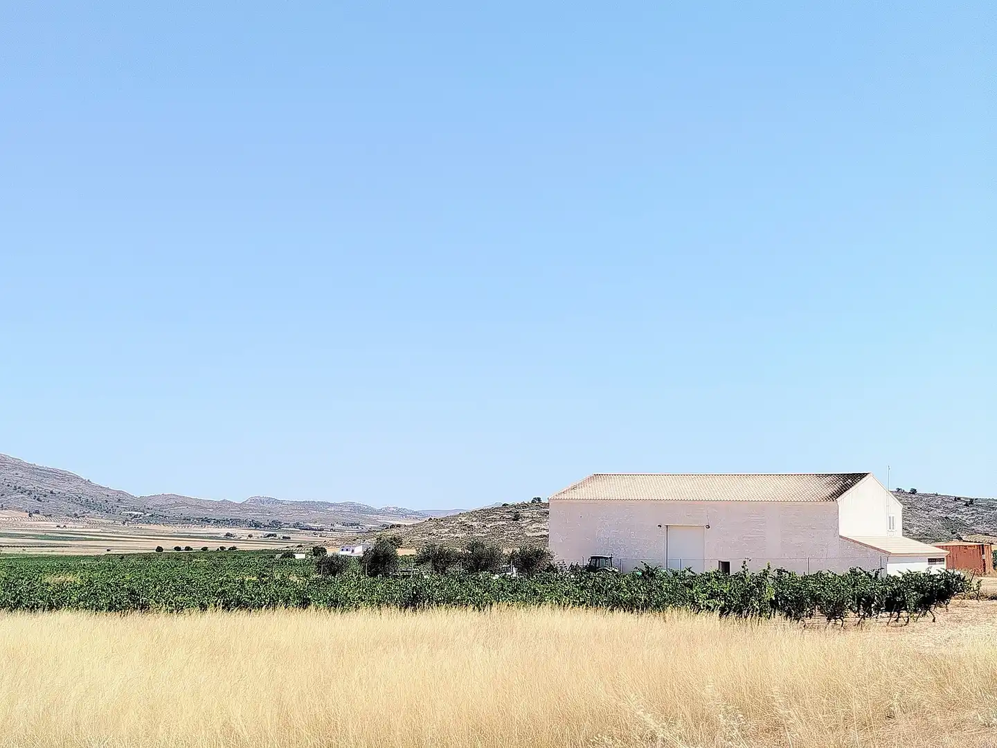 Finca rústica en venda en Yecla amb Aire condicionat i Terrassa