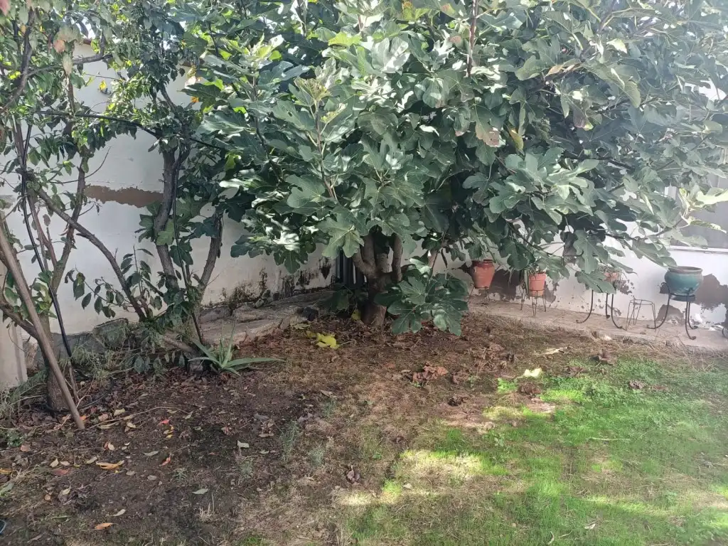 Jardí de Casa adosada en venda en Badajoz