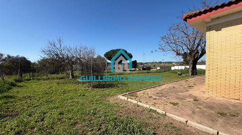 Foto 4 de Finca rústica en venda a La Puebla del Río, Sevilla