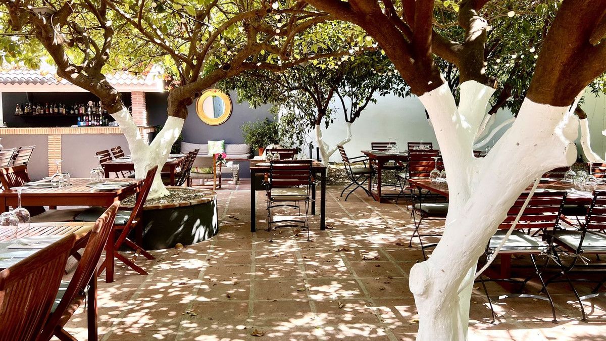 Premises to rent in Centro