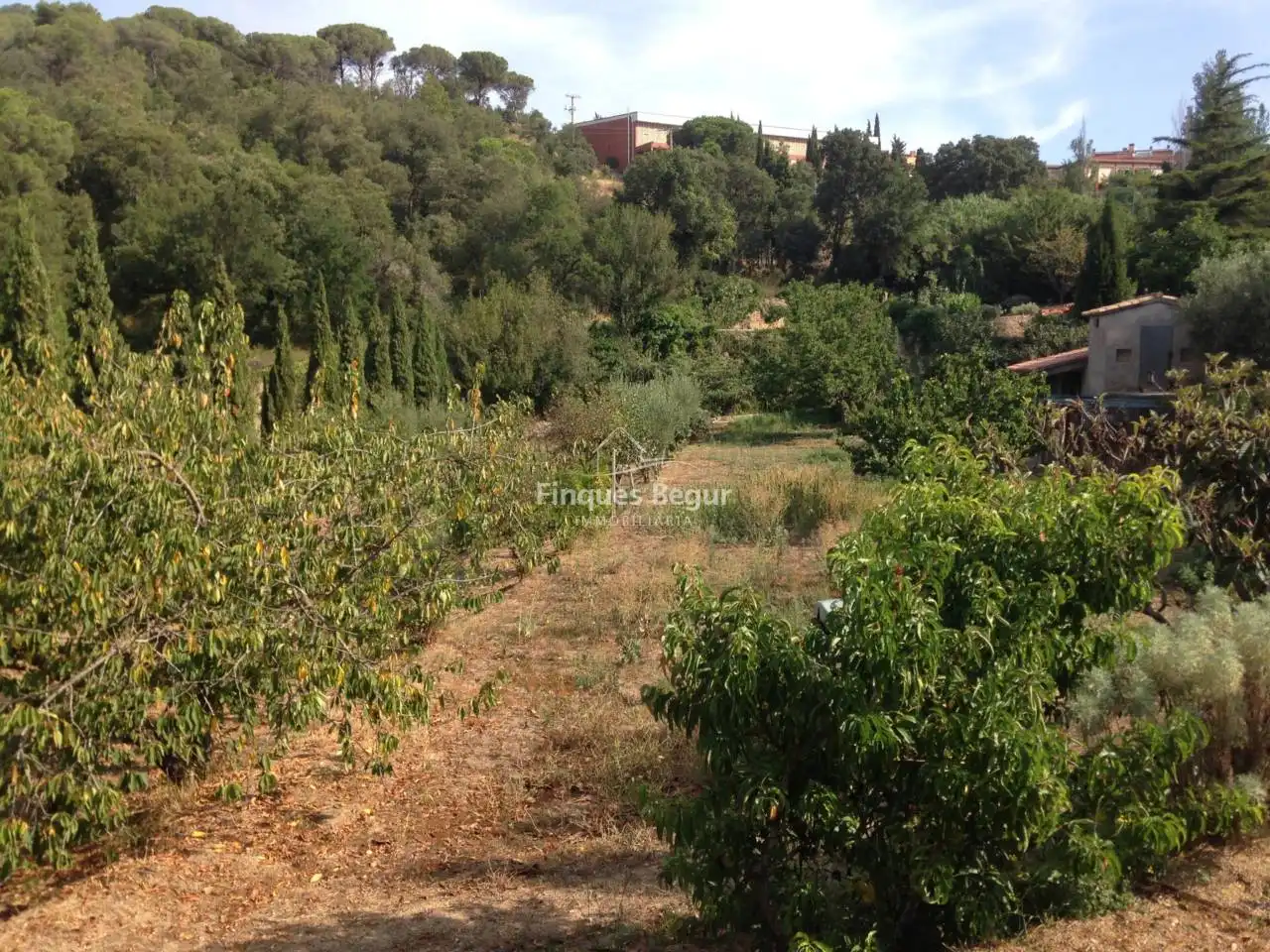 Rural land for sale in Ramon Llull 2a, imagen 10