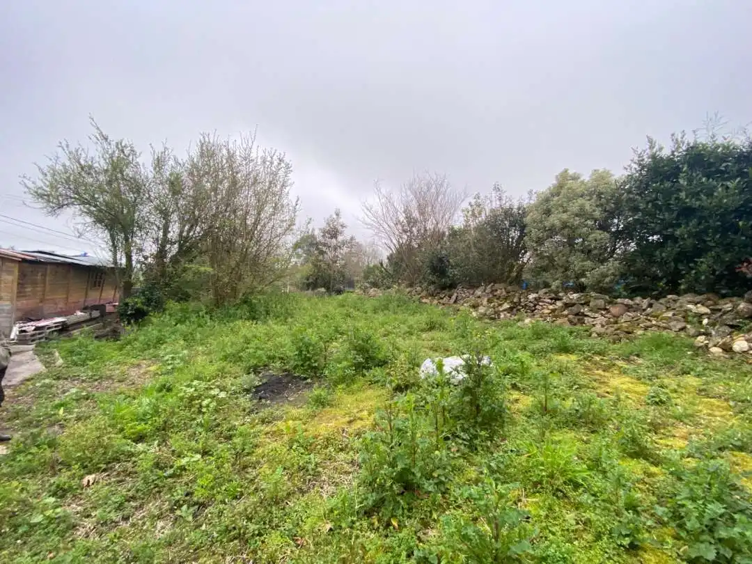 Casa en venta en Marina de Cudeyo, imagen 4