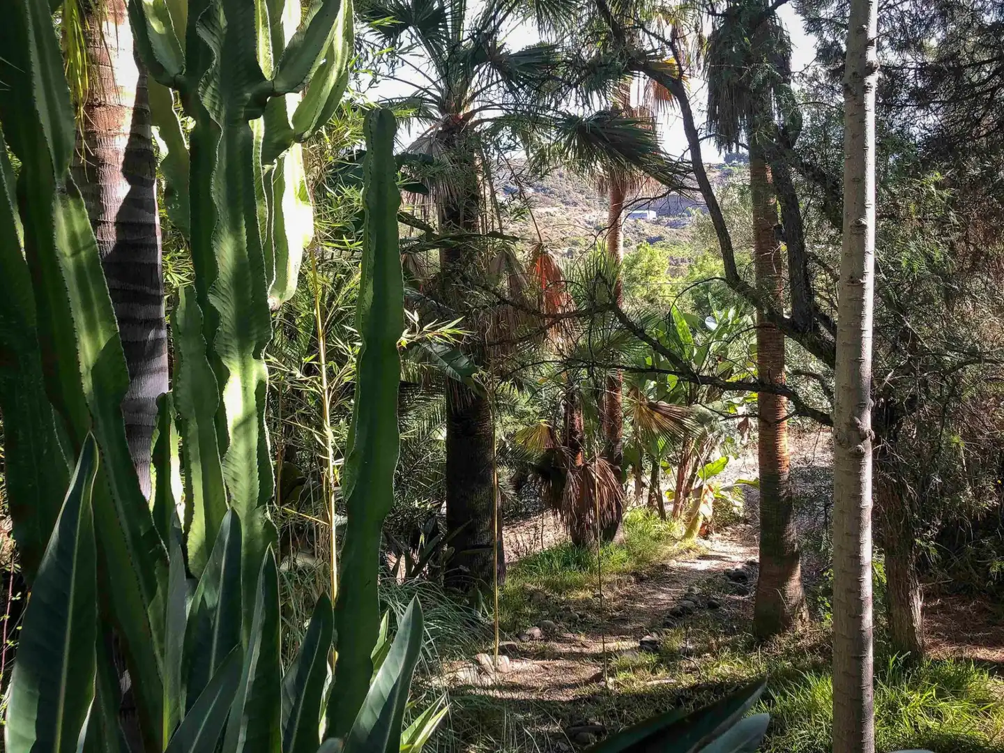 Jardín de Casa o chalet en venta en Benahavís con Aire acondicionado, Jardín privado y Terraza