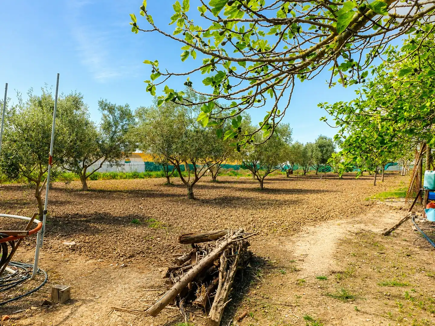 Terreni e lotti in vendita a Carretera de Chipiona, imagen 26