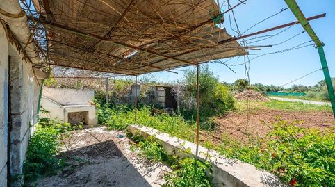Photo 4 of Country homes for sale in Manacor Centre, Manacor