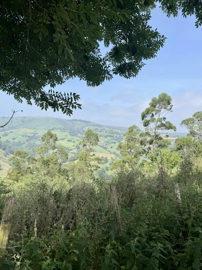 Casa o chalet en venta en Liérganes con Jardín privado