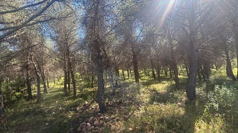 Foto 3 de Finca rústica en venda a Área Rural-Valverde-Las Casas, Ciudad Real Capital
