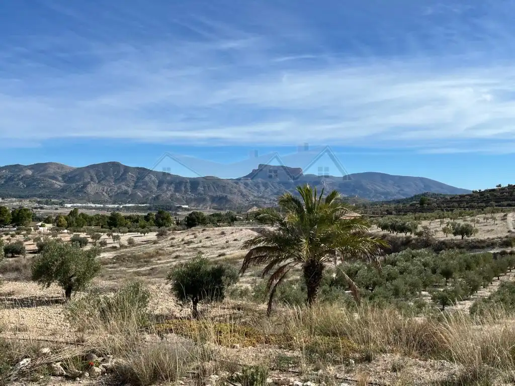 Casa o xalet en venda a San Crispín - Huerta Nueva-Estación