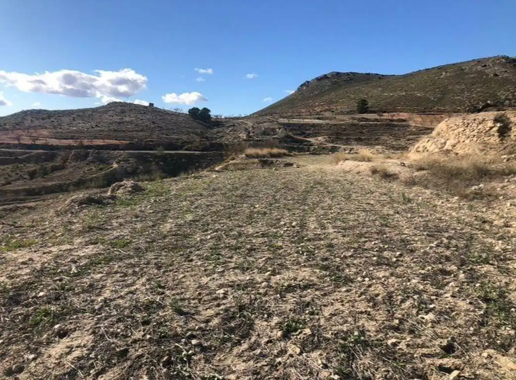 Terrain rustique à vendre à Lorca Ciudad, imagen 4