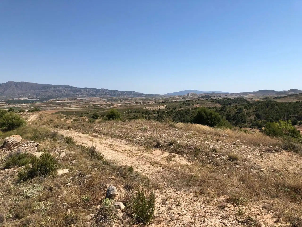 Lands and plots for sale in Abanilla, imagen 3