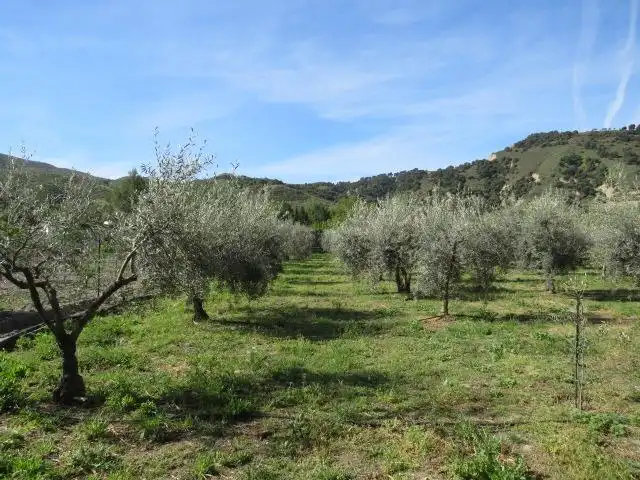 Jardín de Terreno en venta en Cenes de la Vega