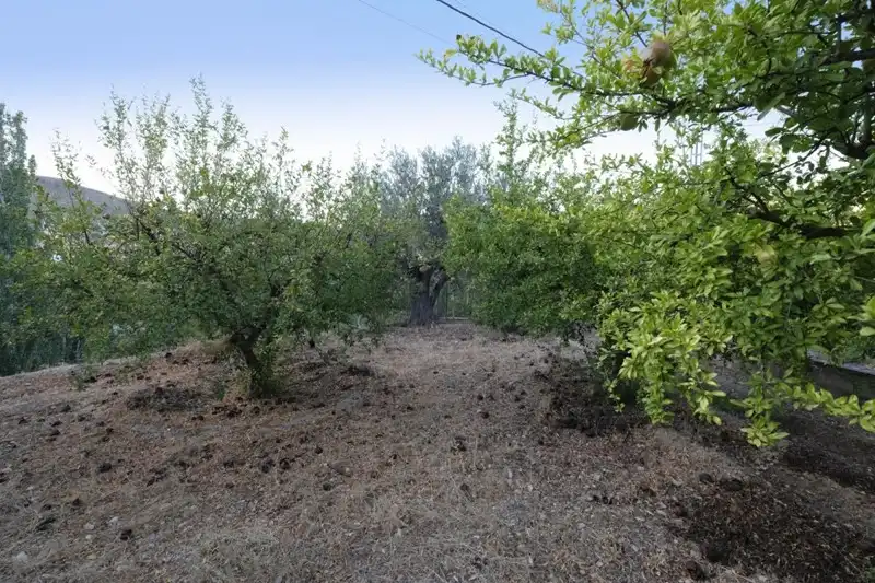 Casa rústica amb jardí en venda a Villamena, imagen 28