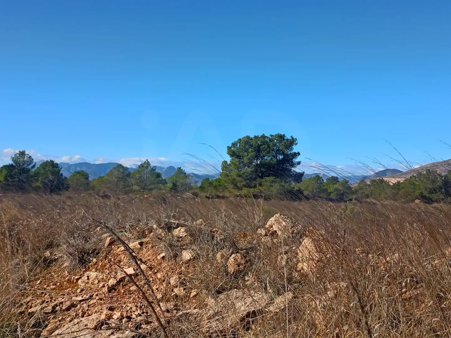 Grundstücke zum Verkauf in Lorca