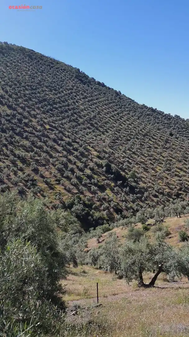 Vista exterior de Finca rústica en venta en Villanueva de Córdoba con Jardín privado, Trastero y Amueblado