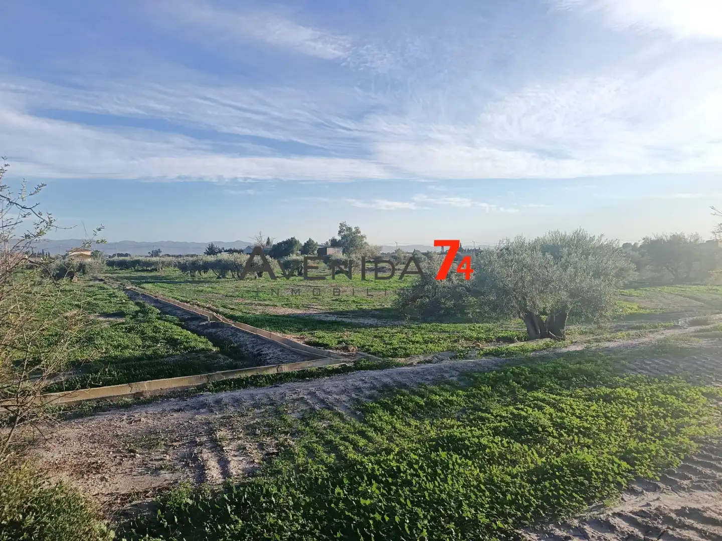 Houses for sale in Lorca