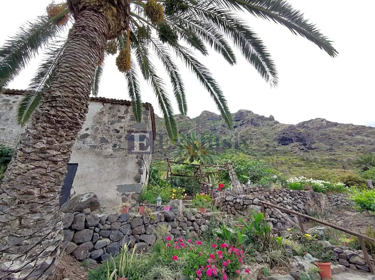 Country homes for sale in Buenavista del Norte