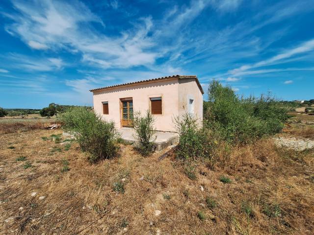 Terreno en Venta en Petra