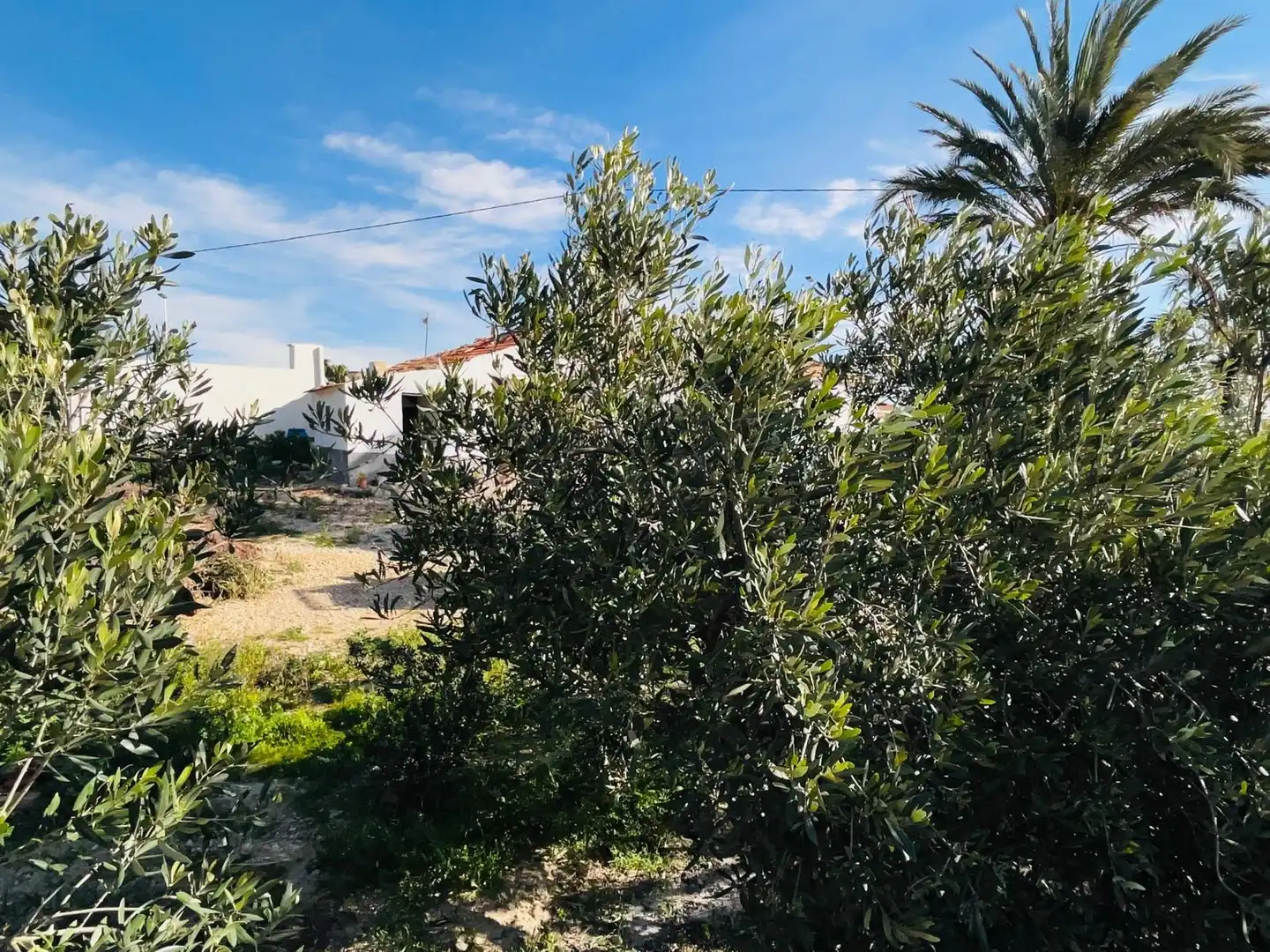 Xalet amb jardí en venda a Peña de las Águilas, imagen 35