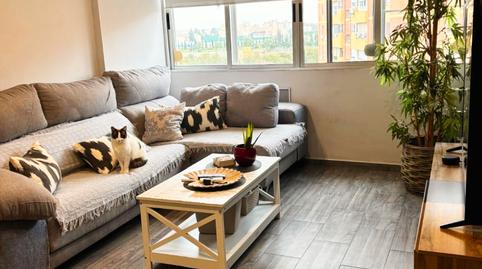 Photo 5 of Flat for sale in Barriada de Pineda,  Sevilla Capital